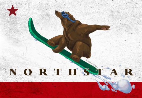 NORTHSTAR