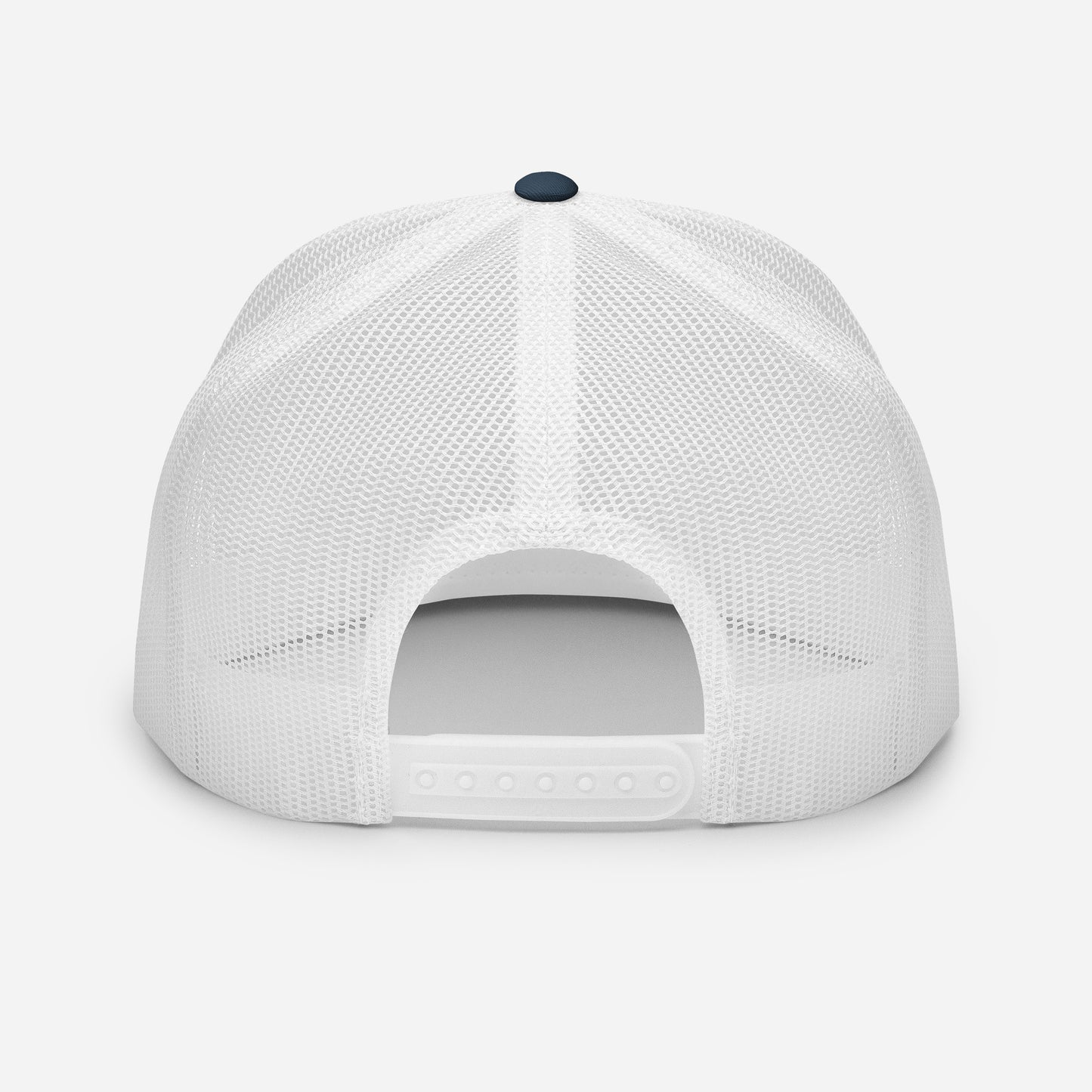 blue and white truckee snapbackat