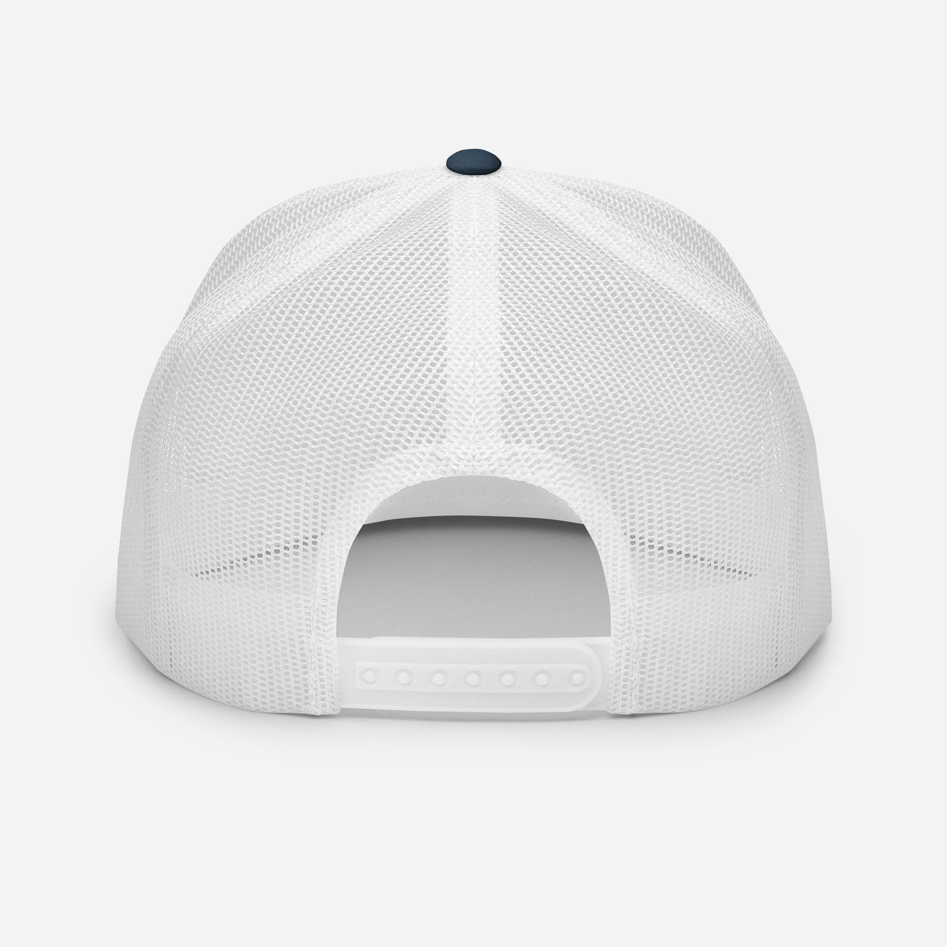blue and white truckee snapbackat