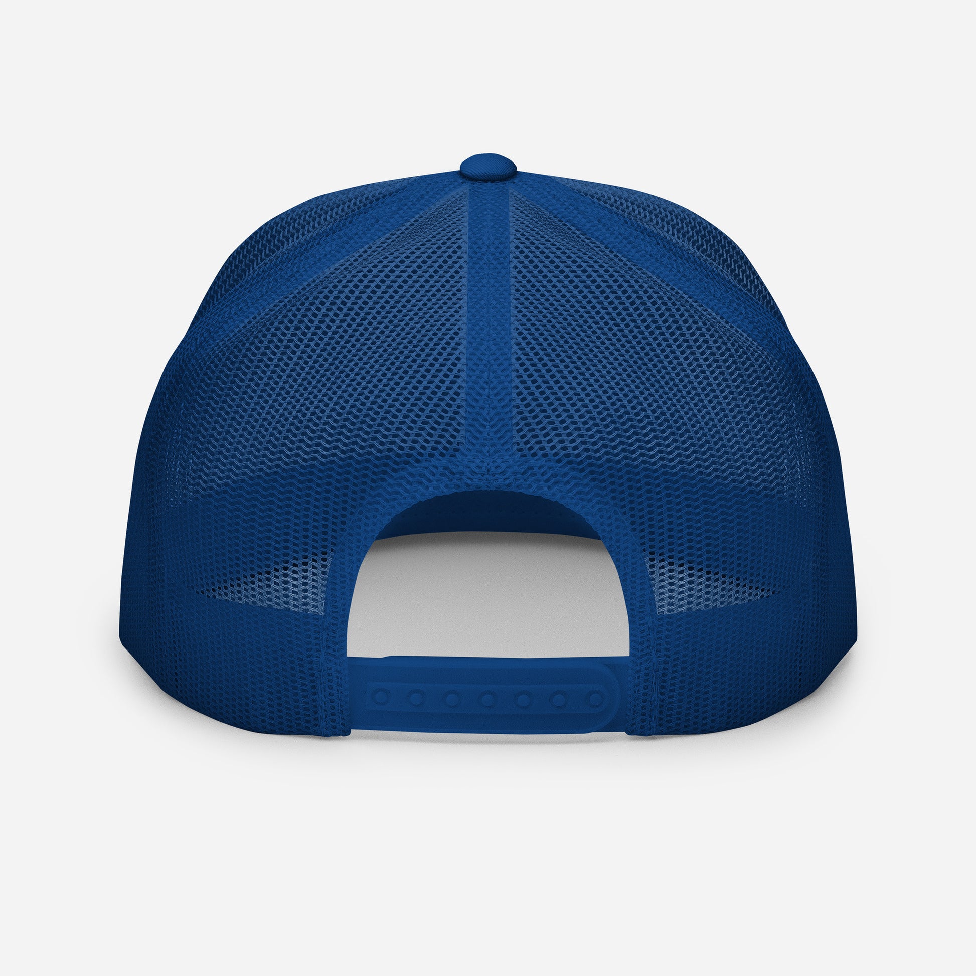 blue snapback truckee hat