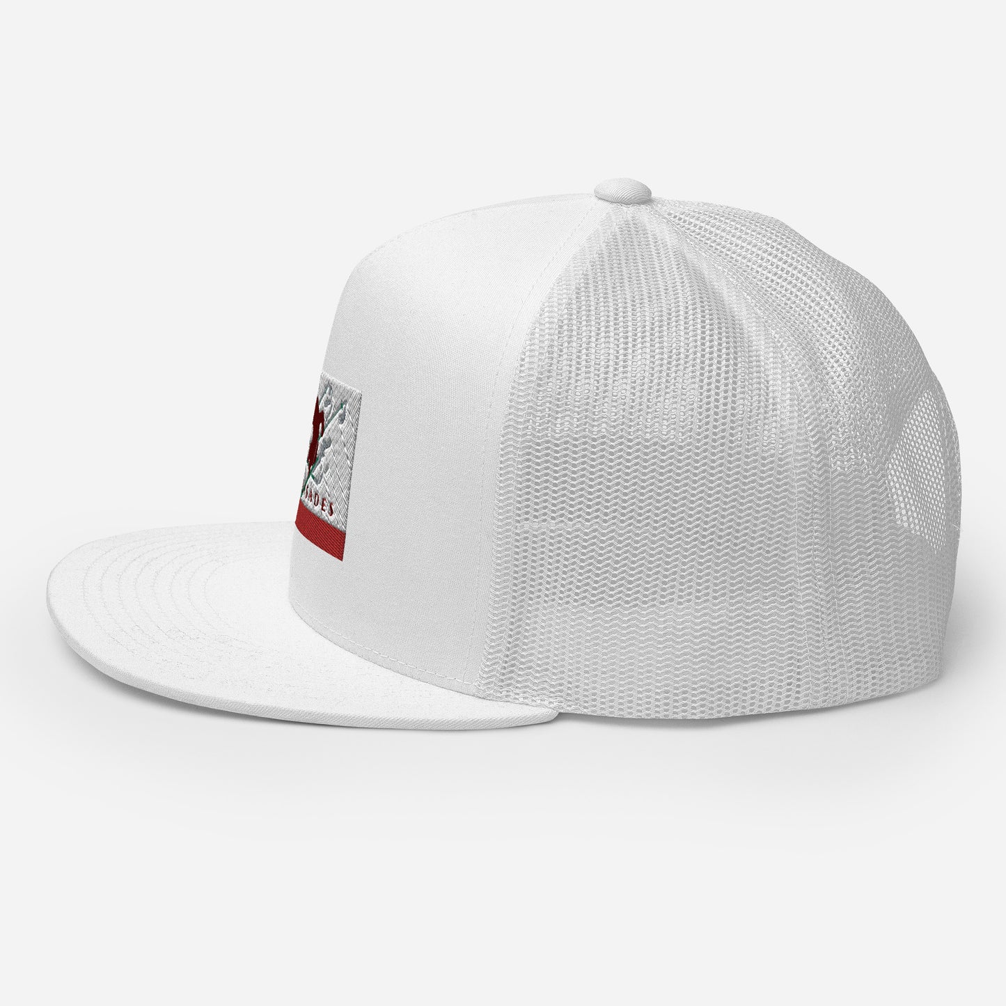 Palisades Flag Ski Trucker Cap