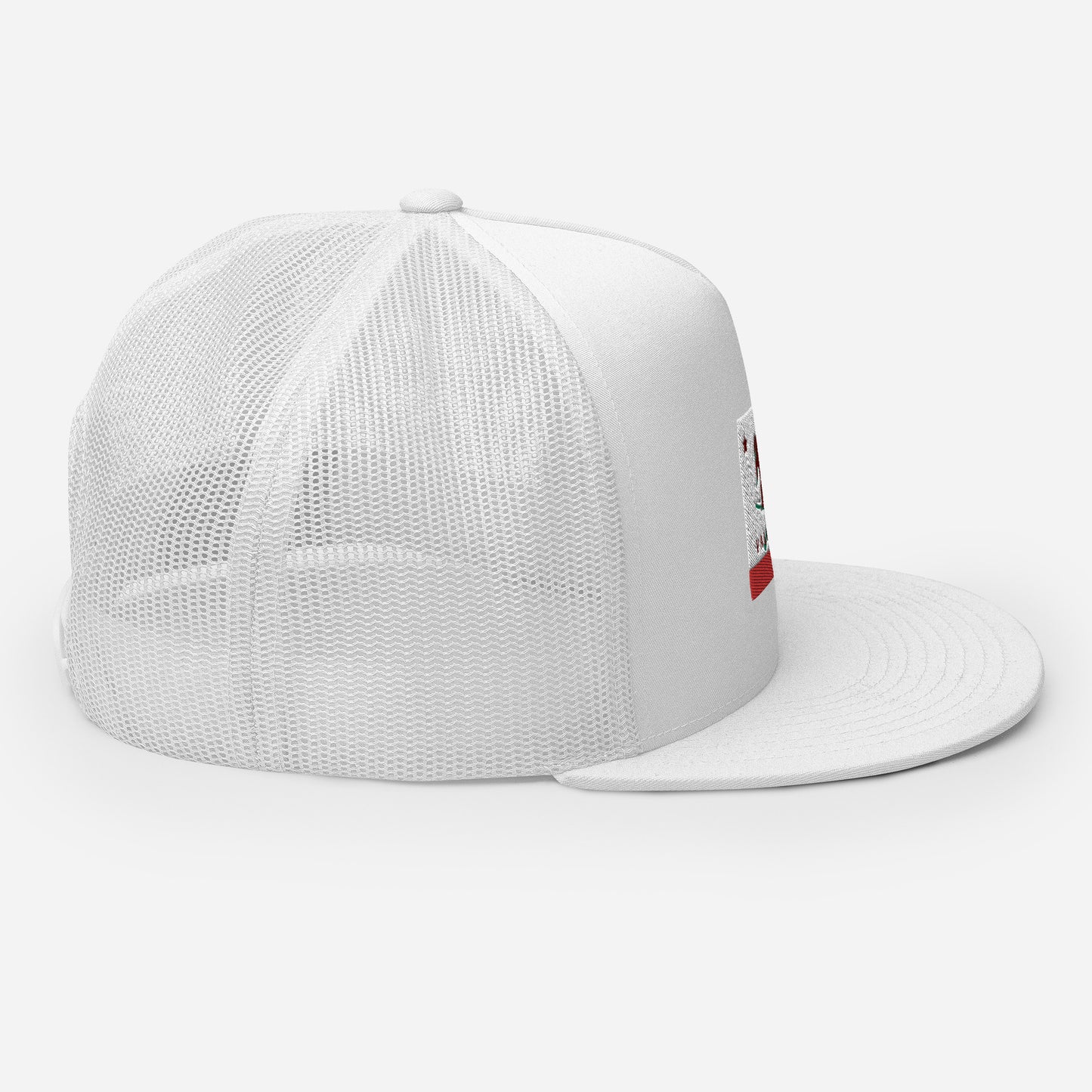 Palisades Flag Ski Trucker Cap