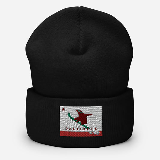 Palisades Grizzly Boarding Cuffed Beanie