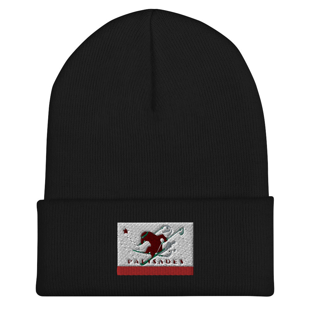 Palisades Flag Ski Beanie