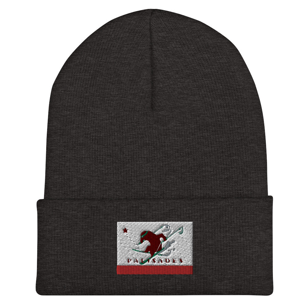 Palisades Flag Ski Beanie