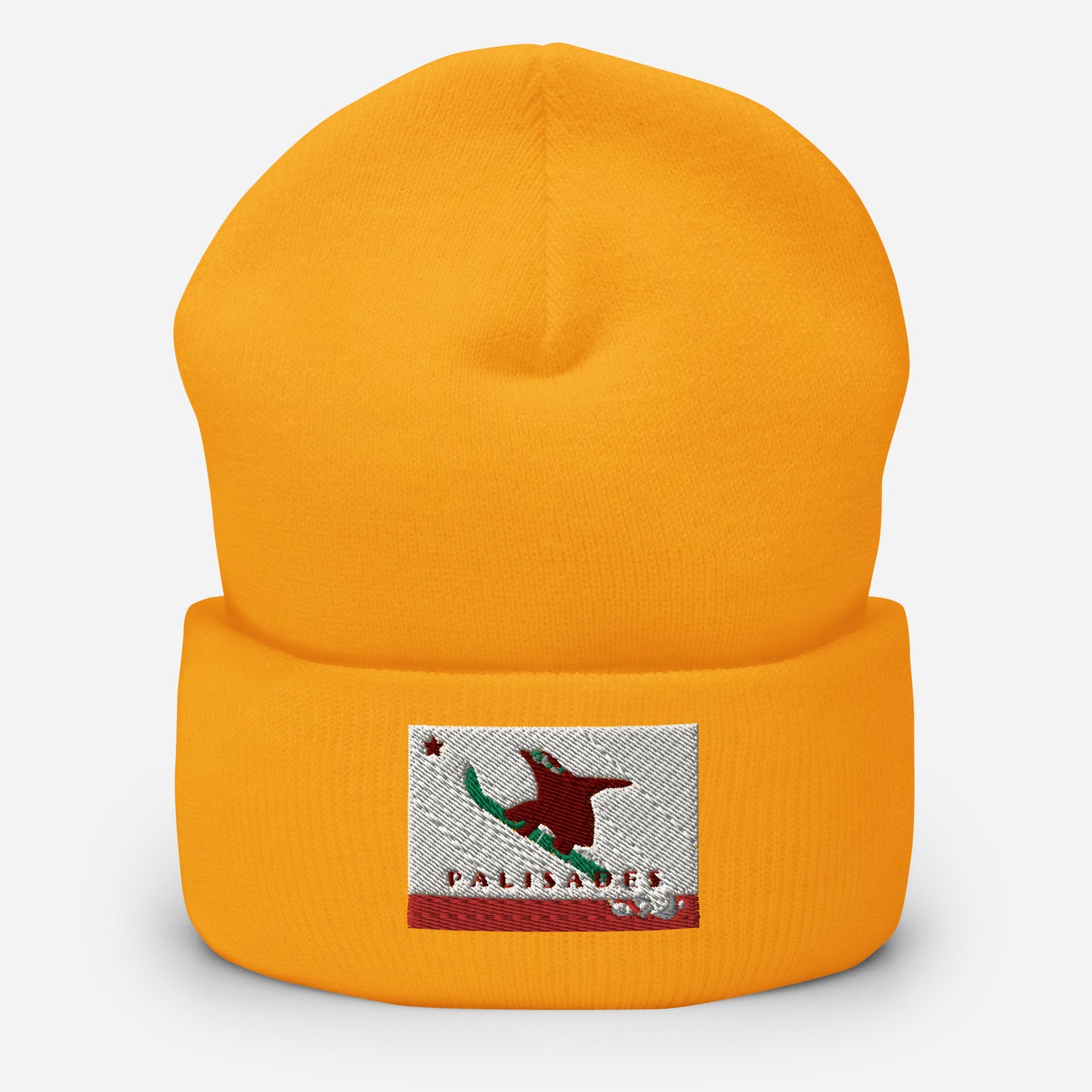Palisades Grizzly Boarding Cuffed Beanie