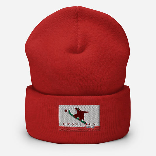 Heavenly CA Flag Snowboard Beanie
