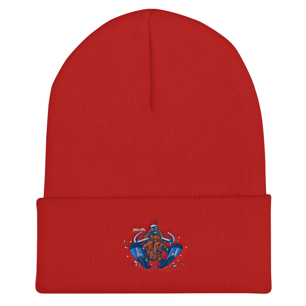 Wally Sends It snowboard beanie - Sno Cal