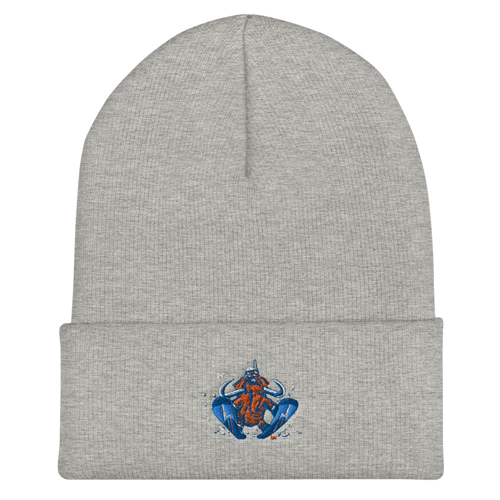 Wally Sends It snowboard beanie - Sno Cal