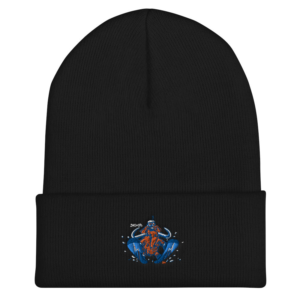 Wally Sends It snowboard beanie - Sno Cal