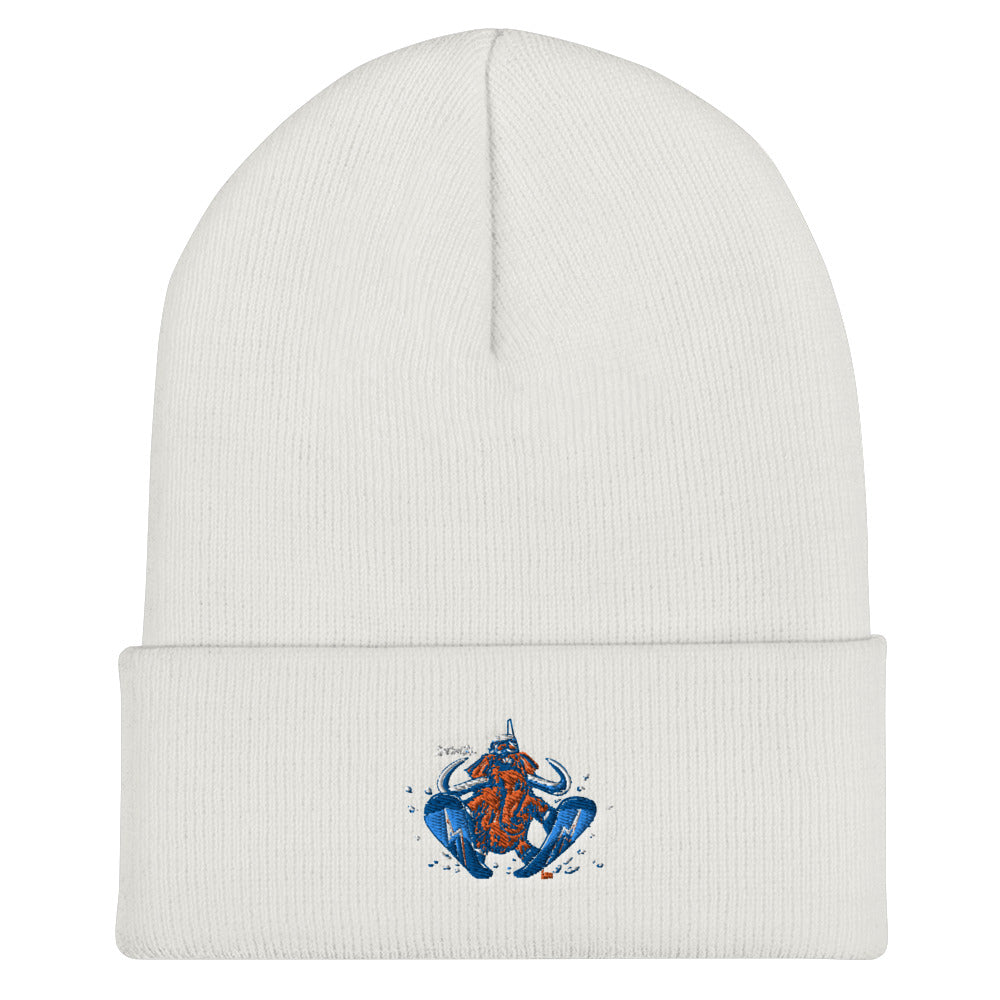Wally Sends It snowboard beanie - Sno Cal