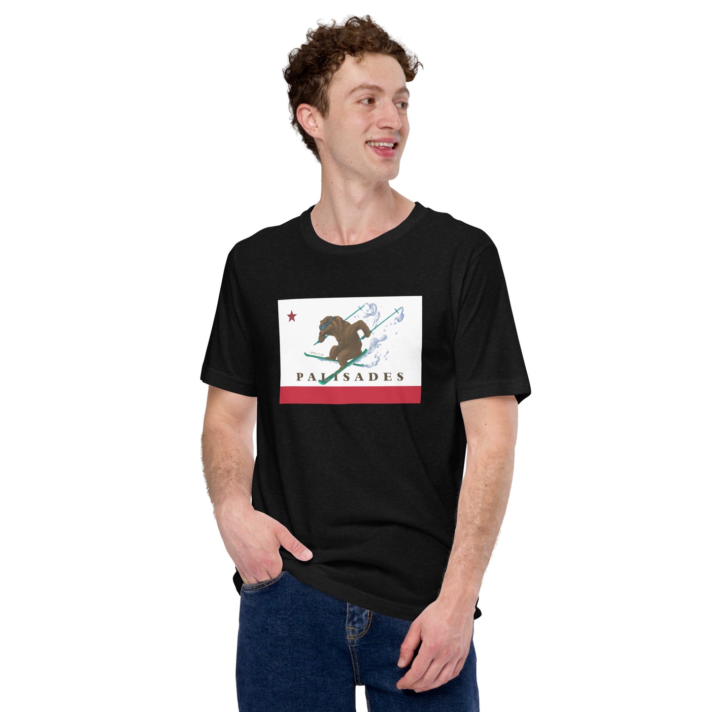 Palisades CA flag ski t-shirt