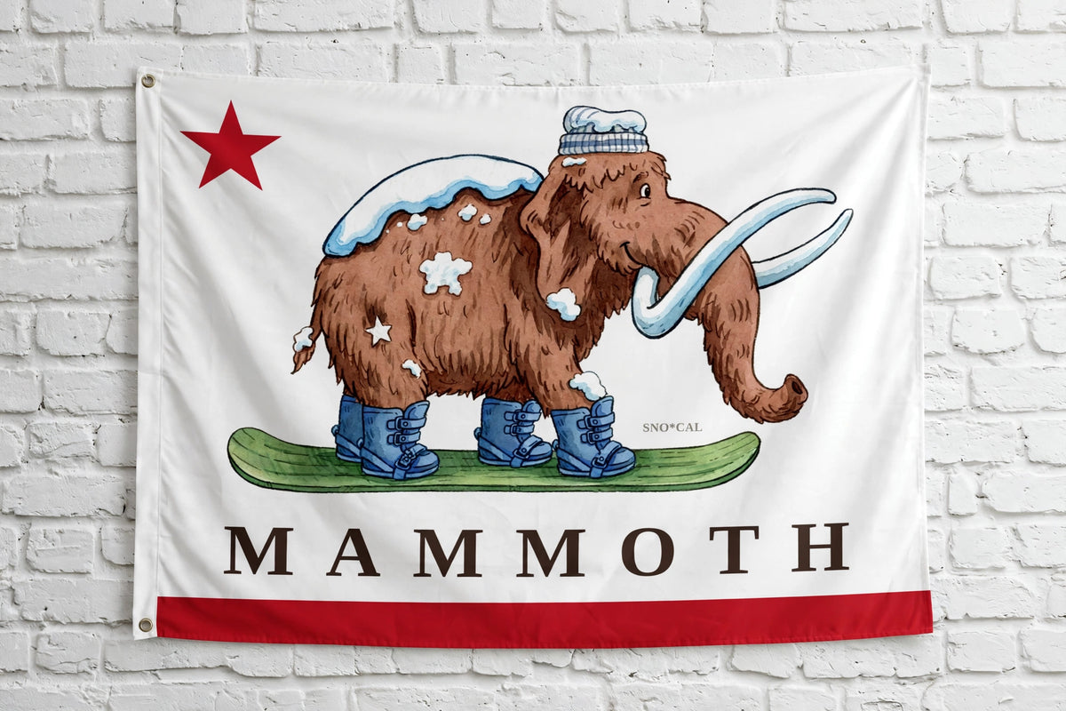 Mammoth 3x5 ski flag hanging on a white brick wall