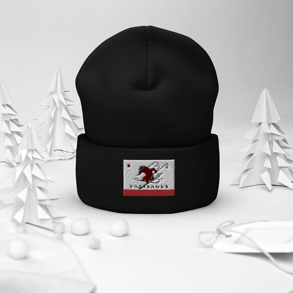 Palisades Flag Ski Beanie
