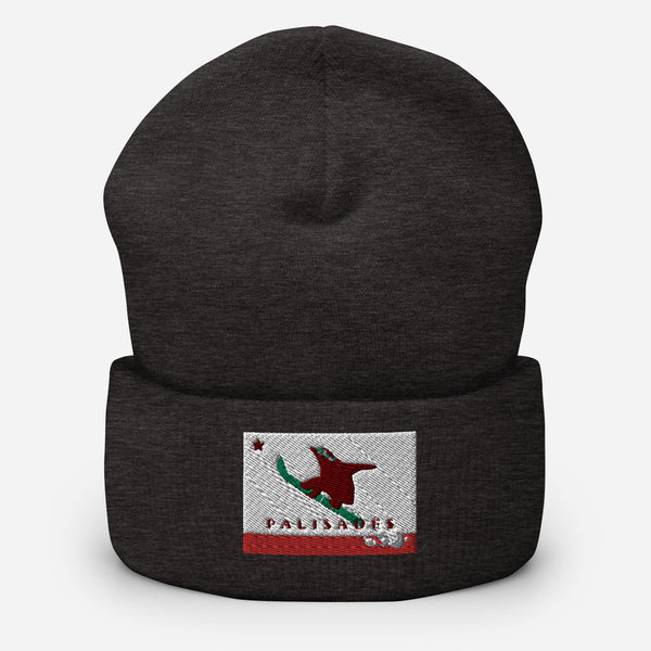 Palisades Grizzly Boarding Cuffed Beanie