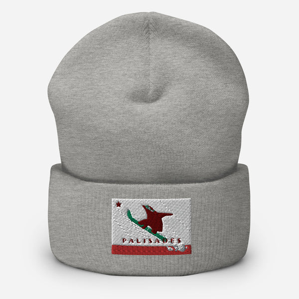 Palisades Grizzly Boarding Cuffed Beanie