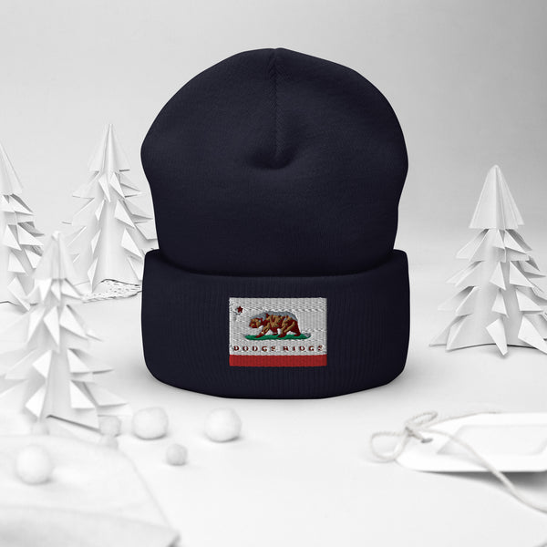 Dodge Ridge Beanie