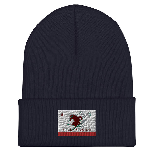 Palisades Flag Ski Beanie