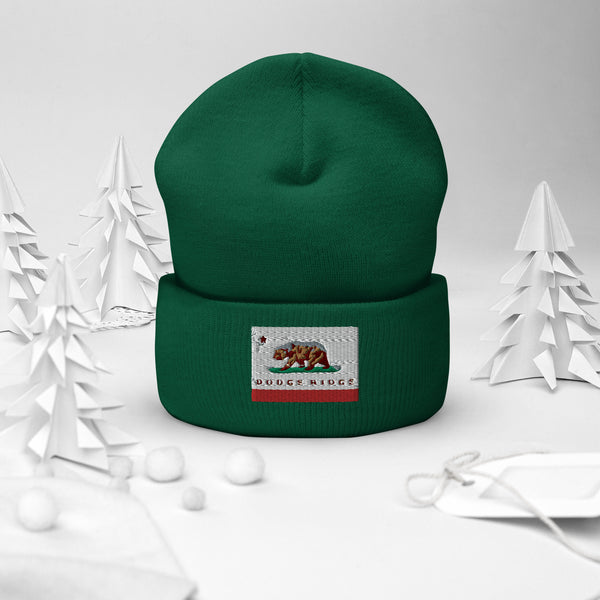 Dodge Ridge Beanie