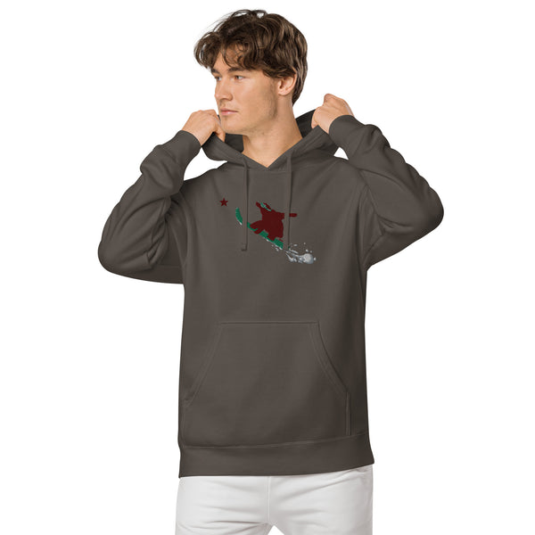 Goldy the Grizzly Send It pigment-dyed hoodie